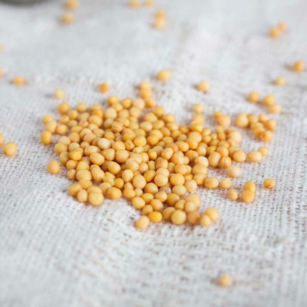 Organic Mustard Seed Cotton Candy Floss Sugar