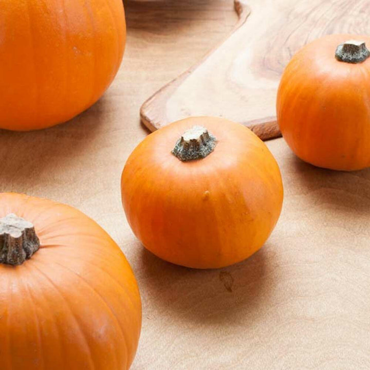 Organic Pumpkin Spice Fragrance Powder
