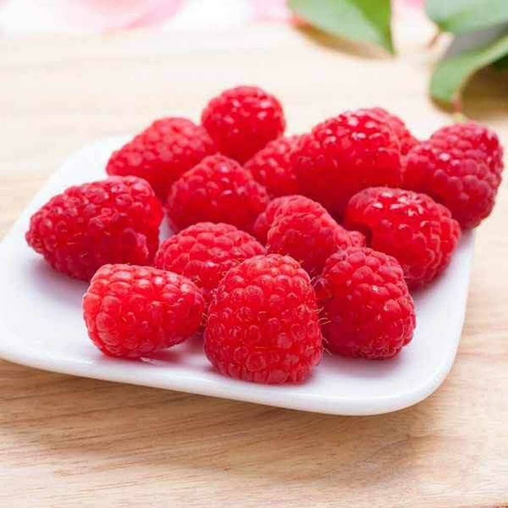 Organic Raspberry Topping and Variegate