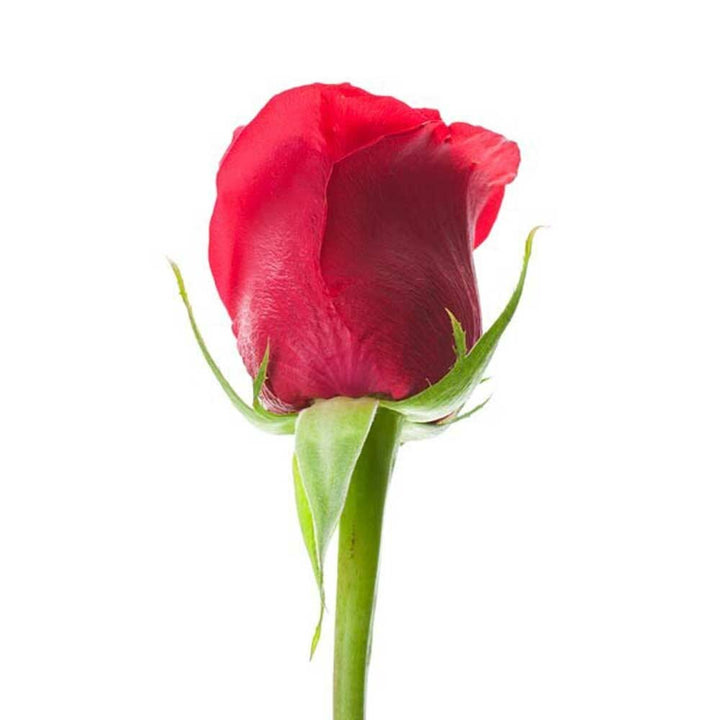 Organic Rose Coffee and Tea Flavoring