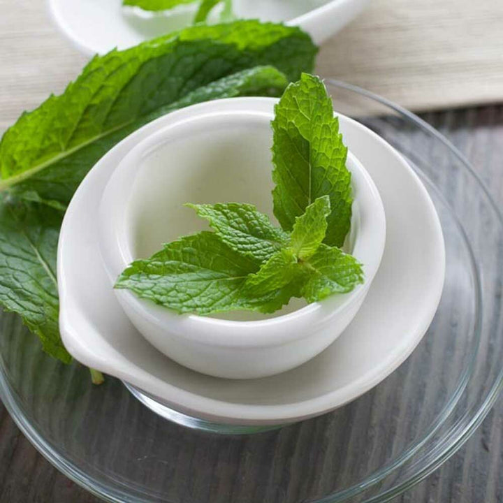 Organic Spearmint Coffee and Tea Flavoring