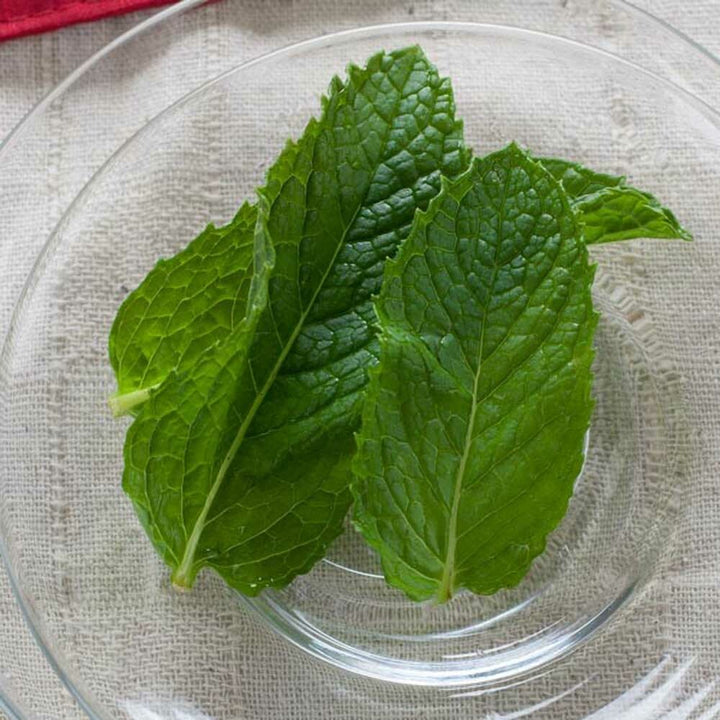 Organic Spearmint Fragrance Emulsion (Water Soluble)