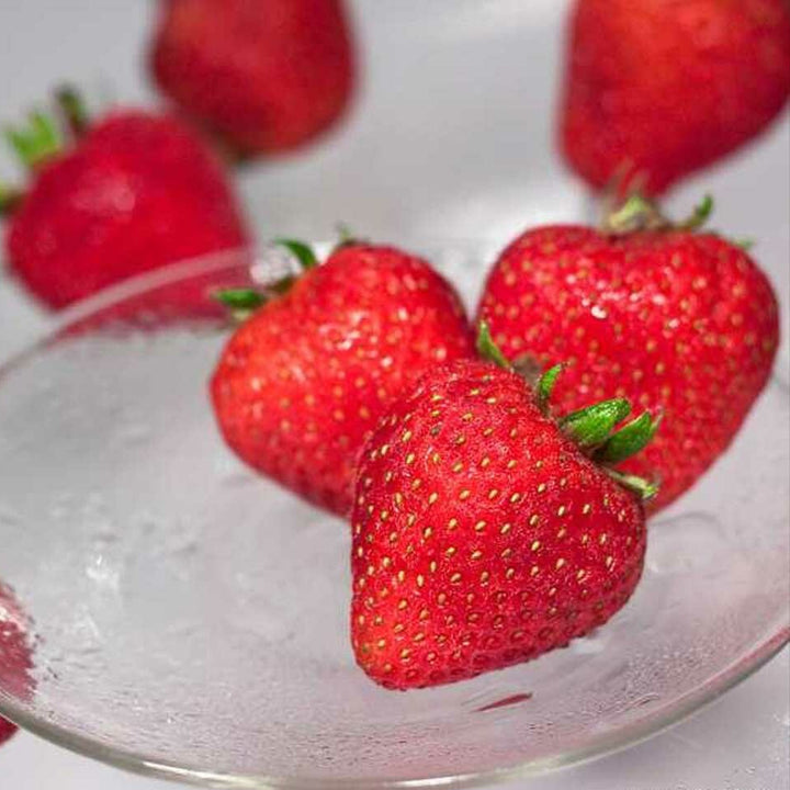 Organic Strawberry Flavored Sorbet Base, Kosher, Gluten Free, Vegan.