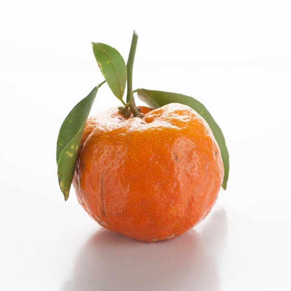 Organic Tangerine Coffee and Tea Flavoring