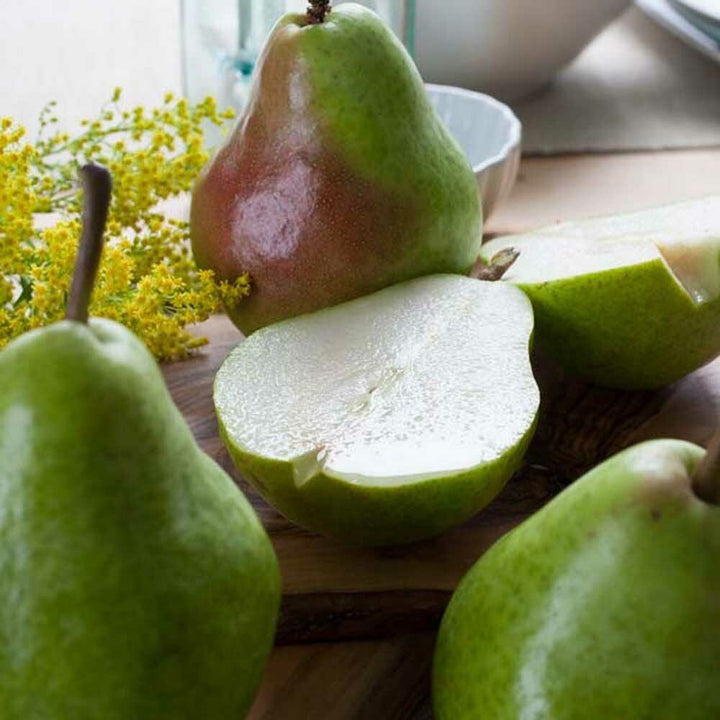 Organic Pear Flavor Oil for Lip Balm