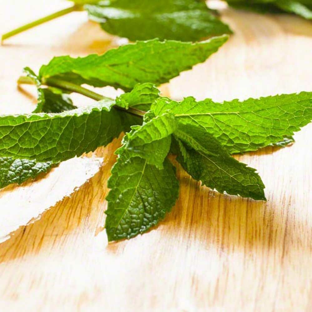 Peppermint Flavor Concentrate, Organic