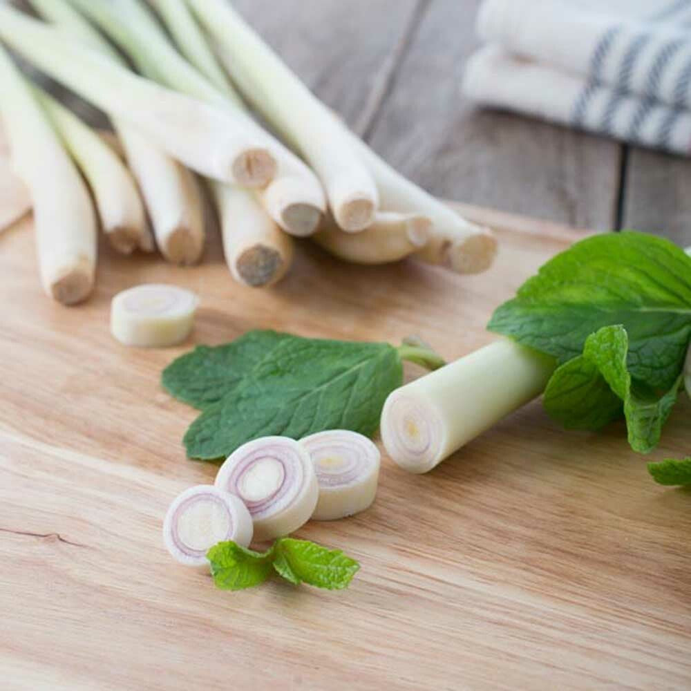 Peppermint Lemongrass Flavor Concentrate, Natural