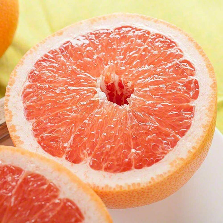 Pink Grapefruit Flavor Concentrate, Organic