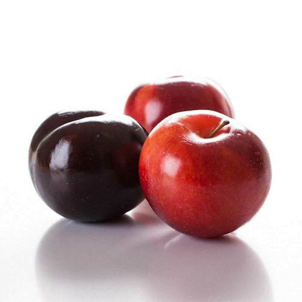 Plum Flavor Concentrate (Sweet Japanese Type), Organic