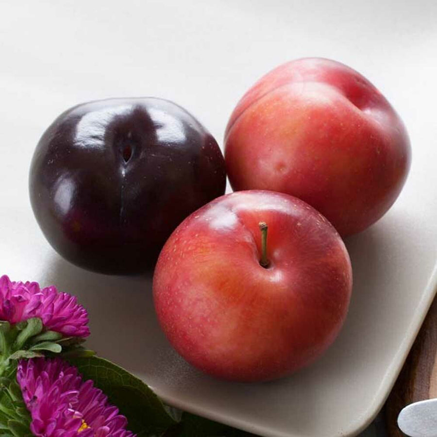 Plum Flavor Extract, Organic