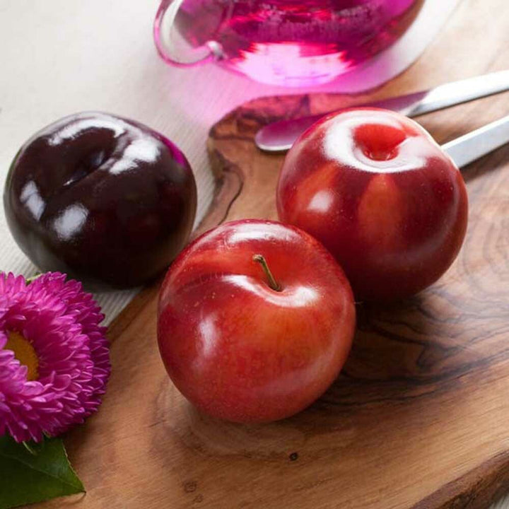 Organic Plum Flavor Oil for Lip Balm