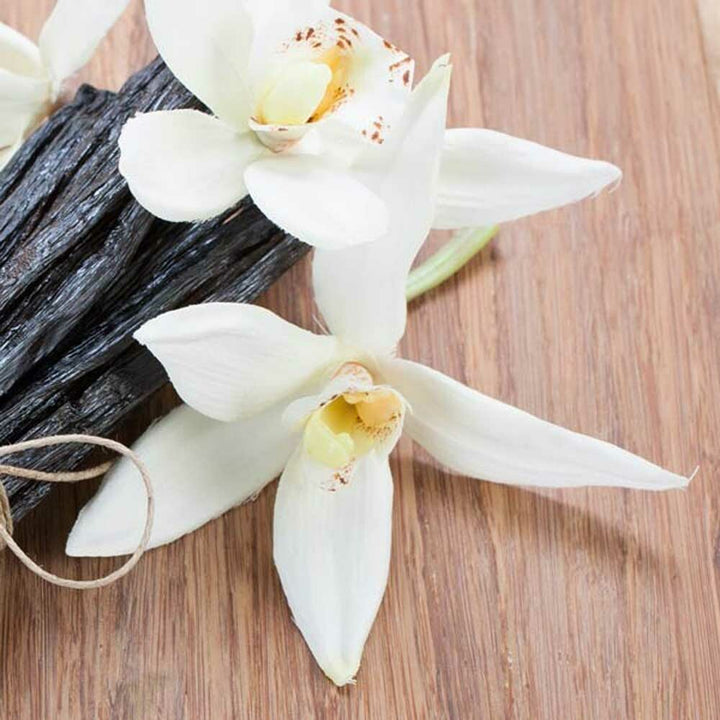 Polynesian Orchid Fragrance Oil (Oil Soluble), Organic