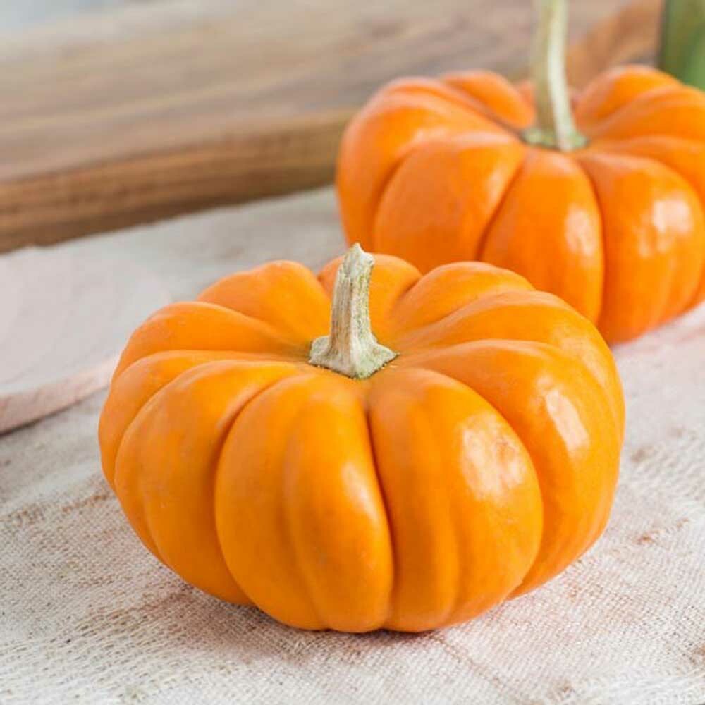 Organic Pumpkin Syrup for Coffee