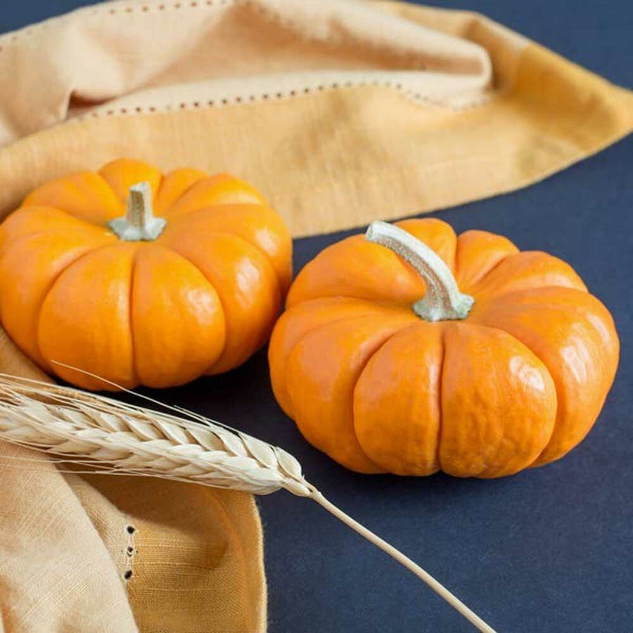 Pumpkin Flavor Extract, Natural