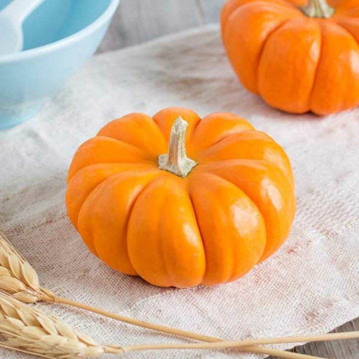 Organic Pumpkin Flavor Oil For Chocolate