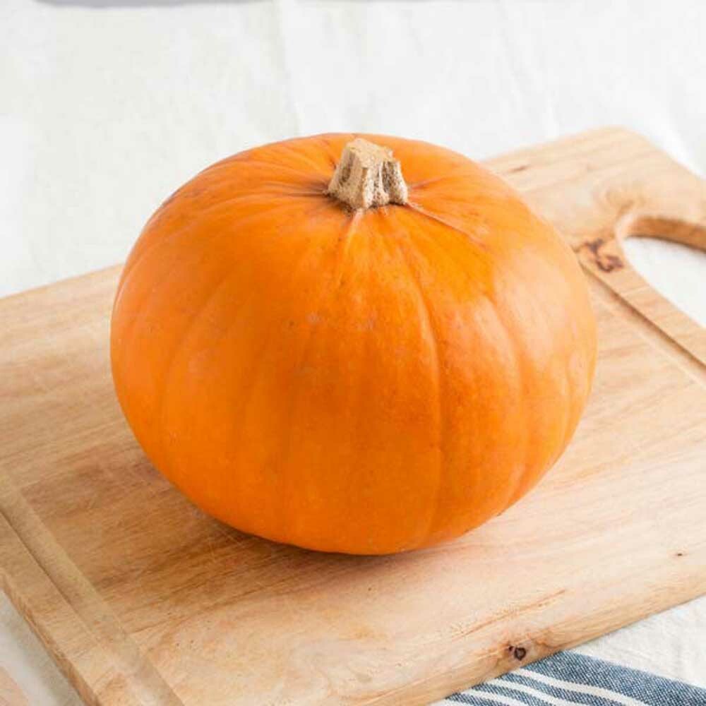Organic Pumpkin Flavor Oil for Lip Balm