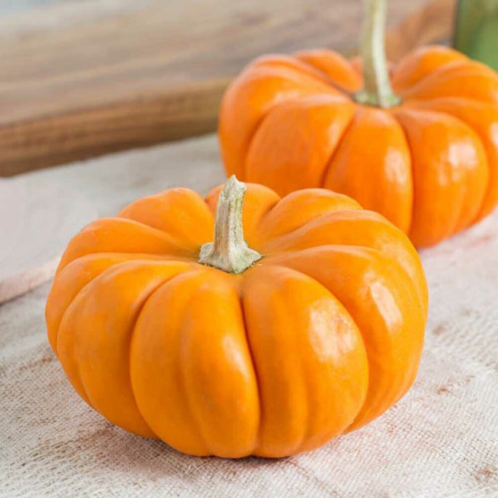 Pumpkin Fragrance Oil (Oil Soluble), Organic