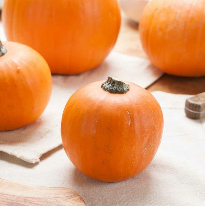 Pumpkin Spice Snow Cone Syrup, Organic