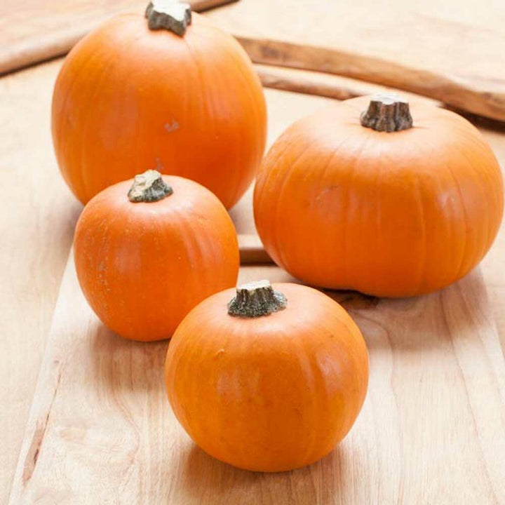 Pumpkin Syrup (3X Fold), Organic