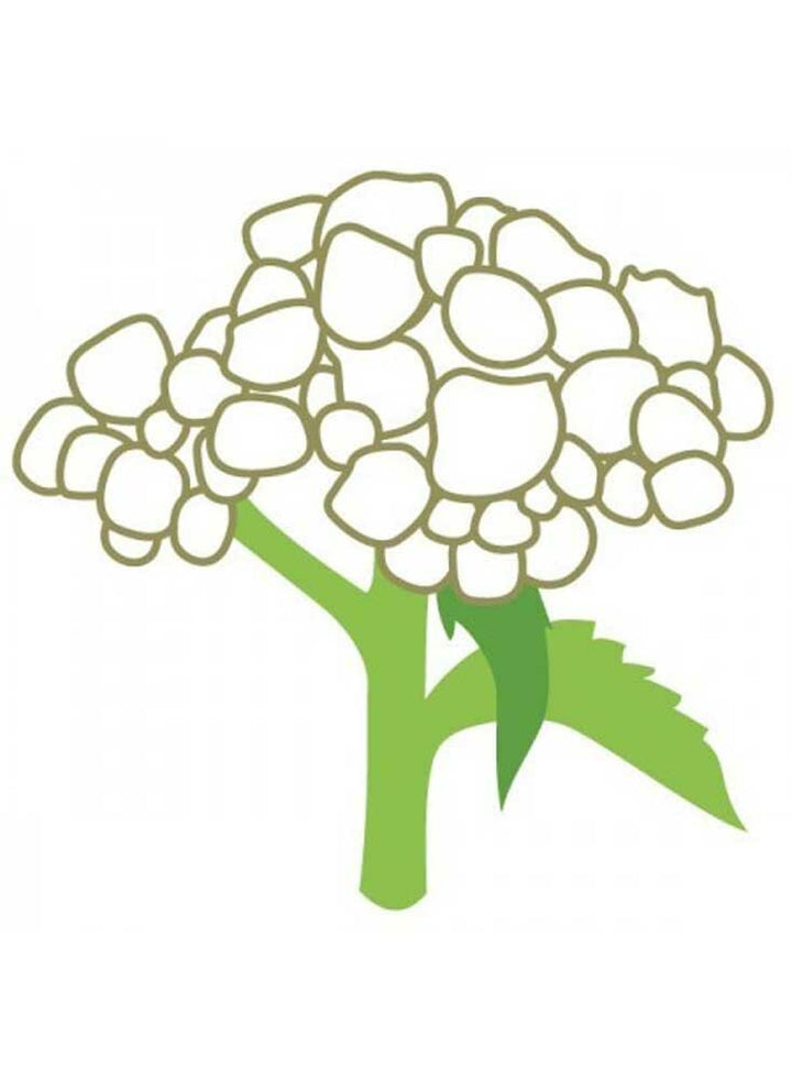 Quinine Extract (Pure) no Added Acids