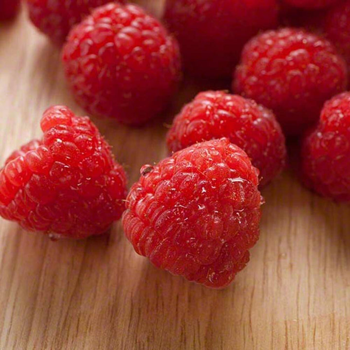 Organic Raspberry Coffee Syrup