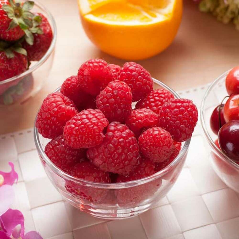 Organic Raspberry Flavor Oil for Lip Balm
