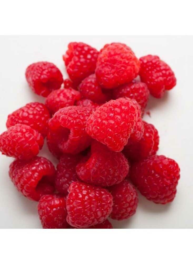 Raspberry Flavored Extract, Keto-Friendly