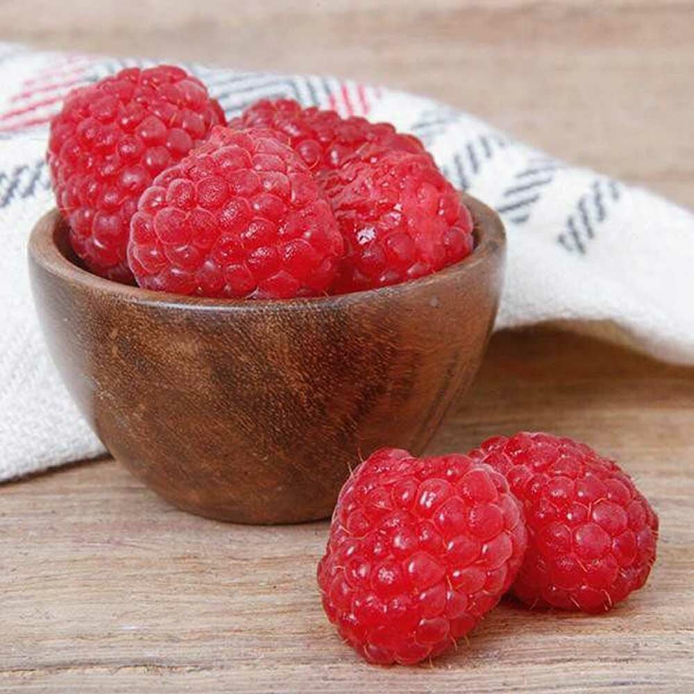 Raspberry Truffle Flavor Concentrate, Organic