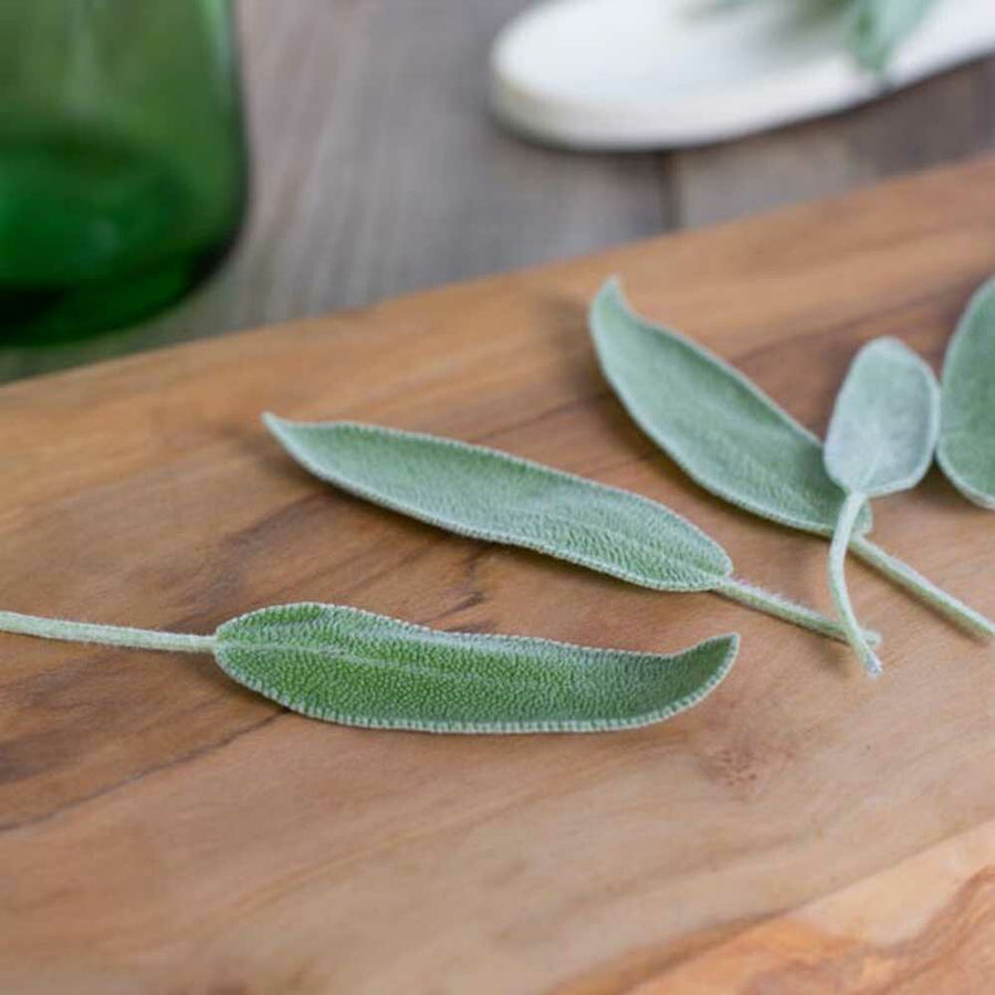 Organic Sage Flavor Extract Without Diacetyl