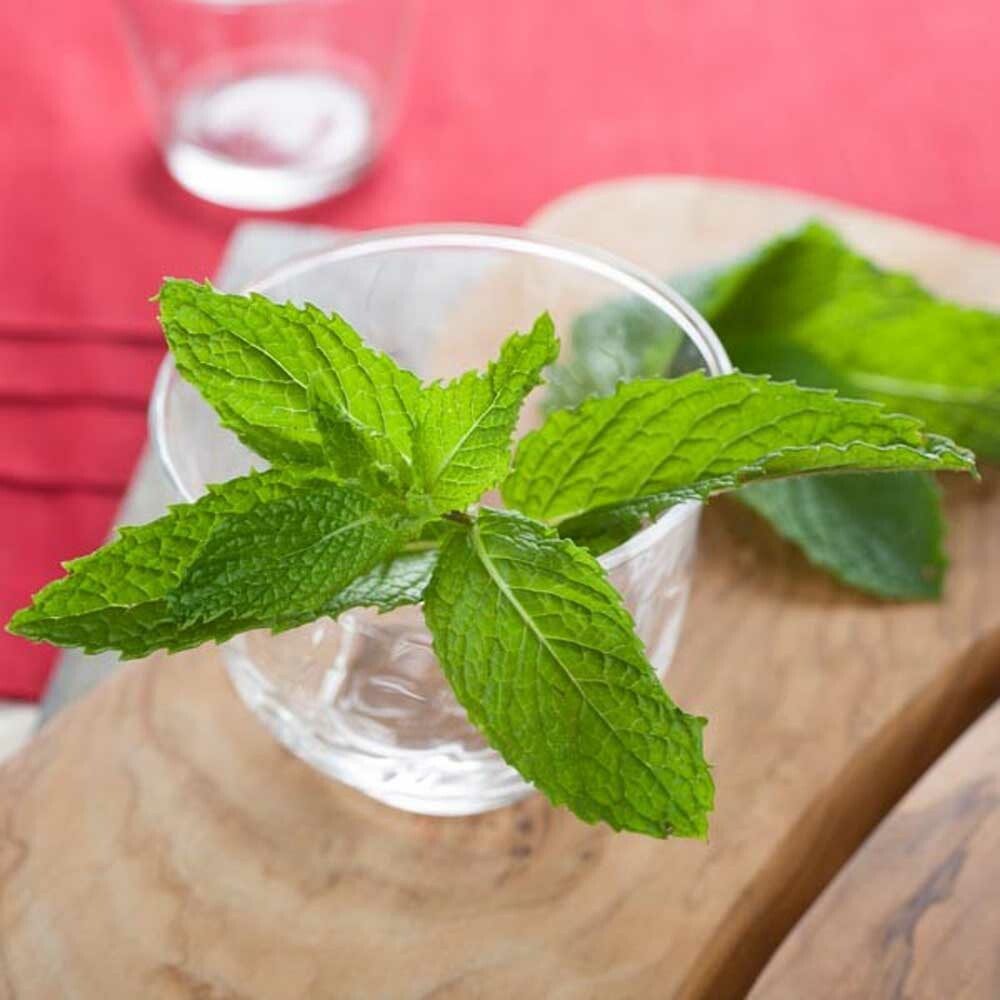 Organic Spearmint Flavor Extract Without Diacetyl