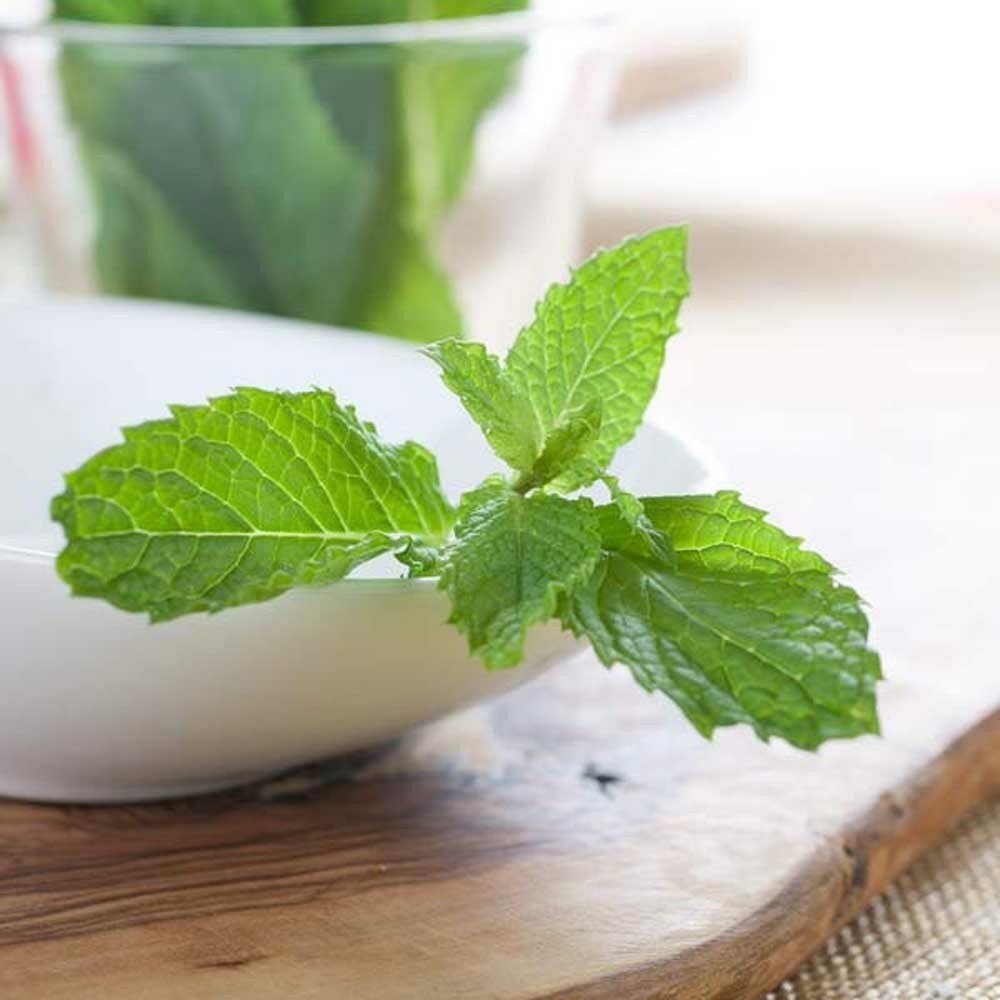Organic Spearmint Flavor Oil For Chocolate