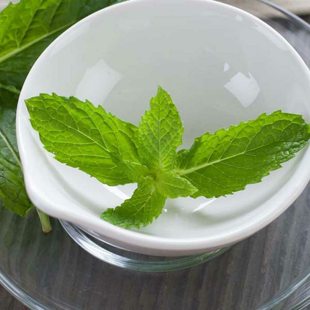 Organic Spearmint Flavor Oil for Lip Balm