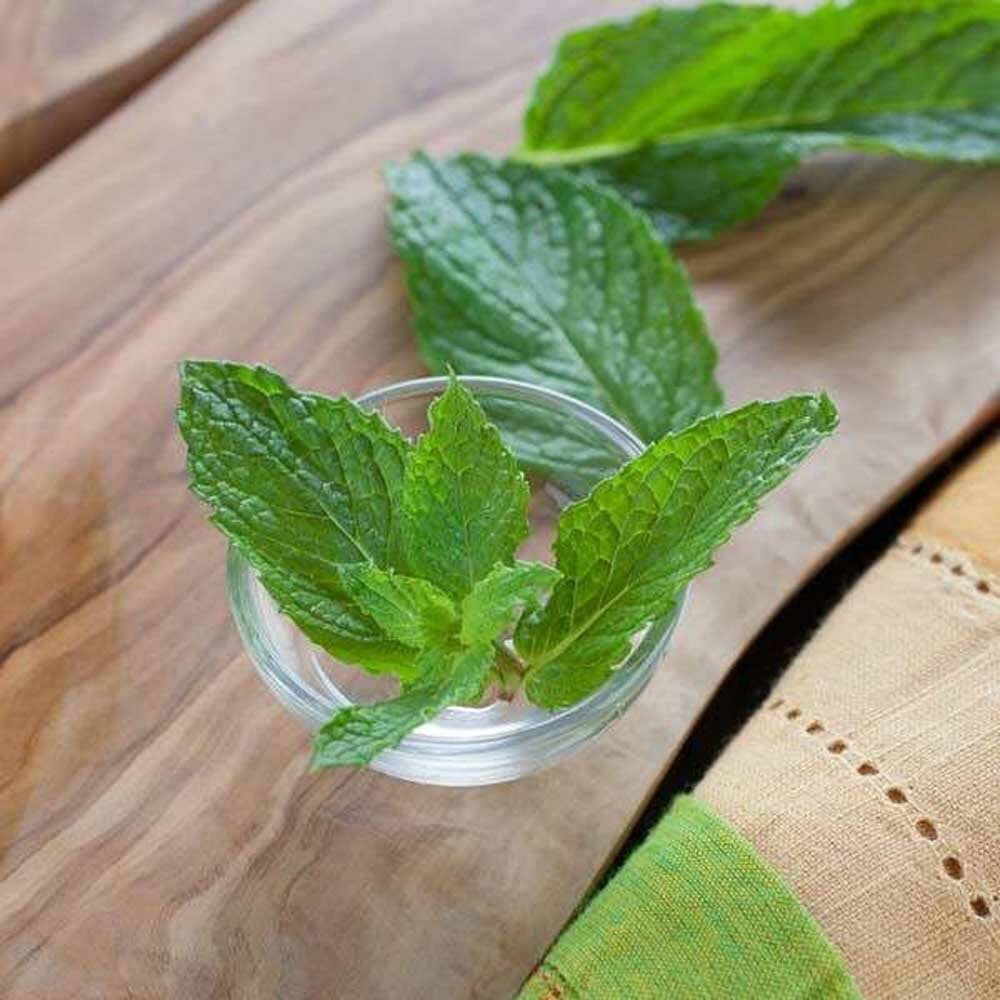 Spearmint Fragrance Oil (Alcohol Soluble), Organic