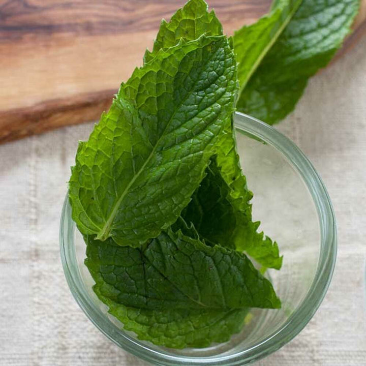 Spearmint Fragrance Oil (Alcohol Soluble)