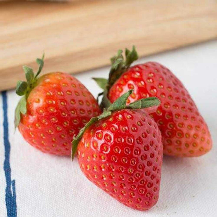 Strawberry Flavor Concentrate For Frozen Yogurt without Diacetyl