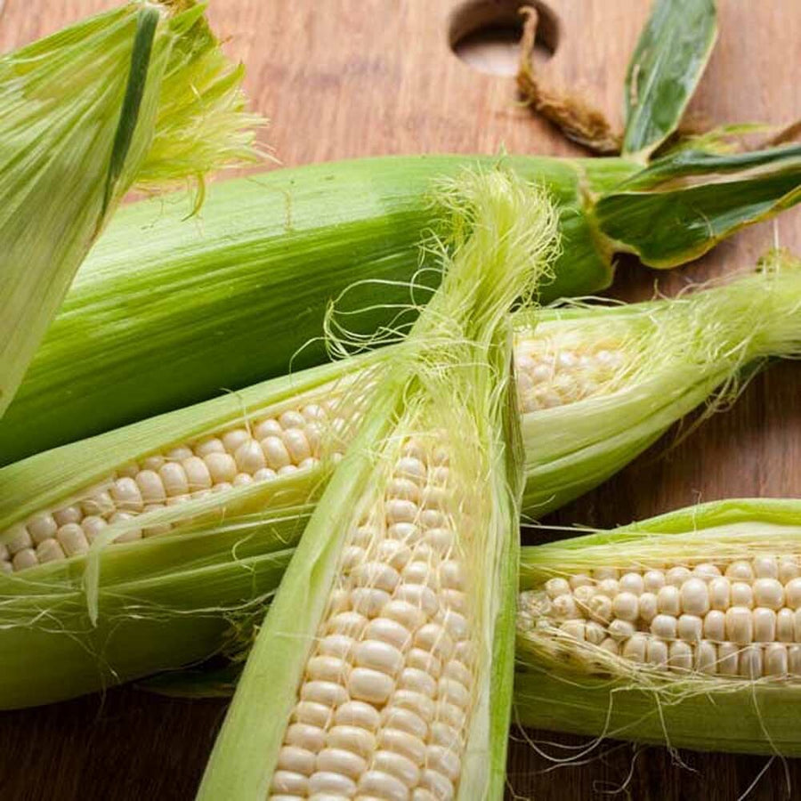 Sweet Corn Flavor Extract, Organic