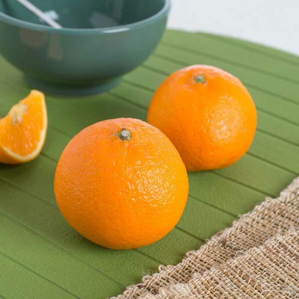 Organic Tangerine Flavor Oil for Lip Balm