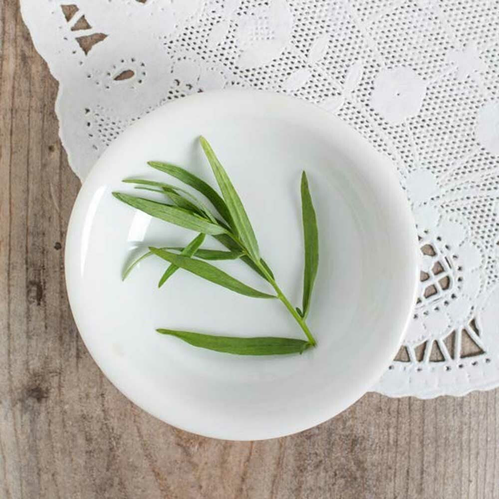 Tarragon Leaf Flavor Concentrate, Natural