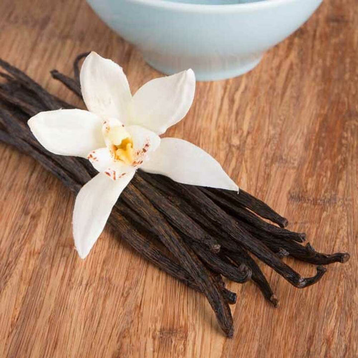 Vanilla Cream Syrup, Organic