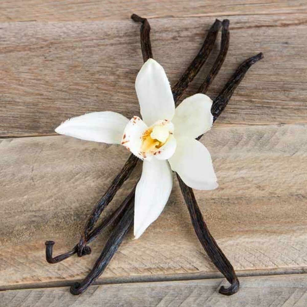 Vanilla Flavor Extract Without Diacetyl (3x Fold), Organic