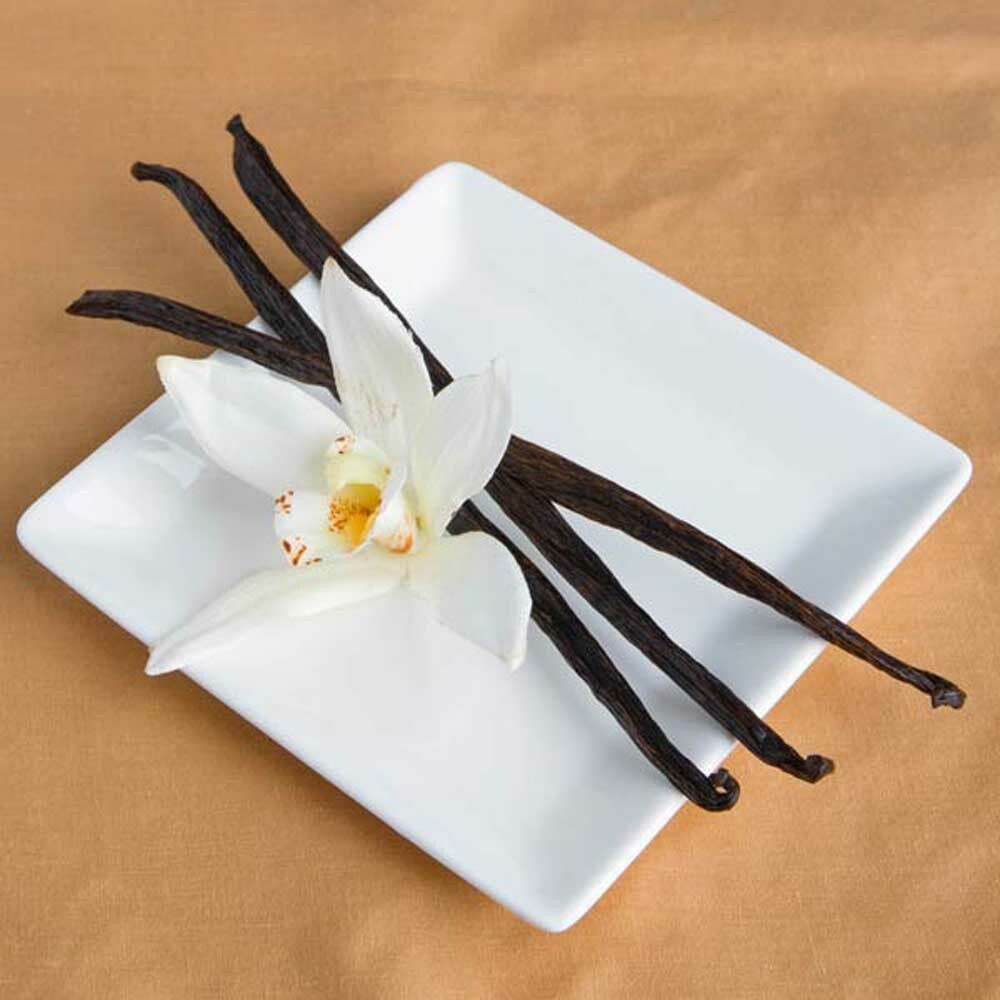 Vanilla Fragrance Oil (Coconut notes) (Alcohol Soluble)
