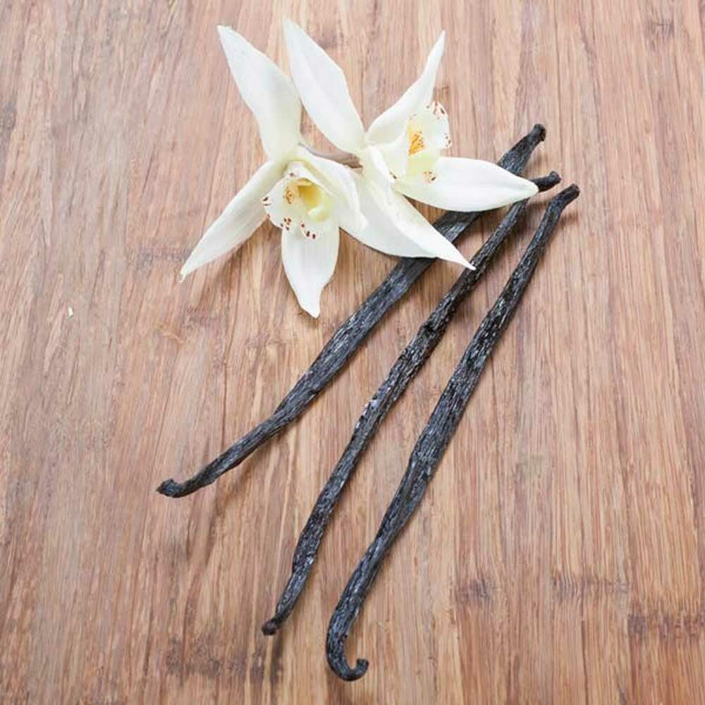 Vanilla Fragrance Oil (Alcohol Soluble), Organic