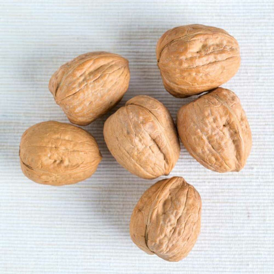 Organic Walnut Flavor Extract Without Diacetyl