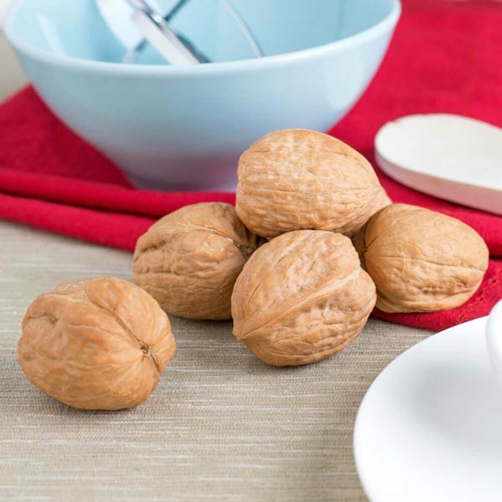 Organic Walnut Flavor Oil For Chocolate