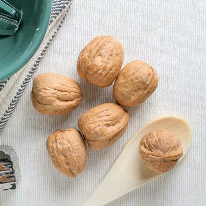Organic Walnut Flavor Oil for Lip Balm