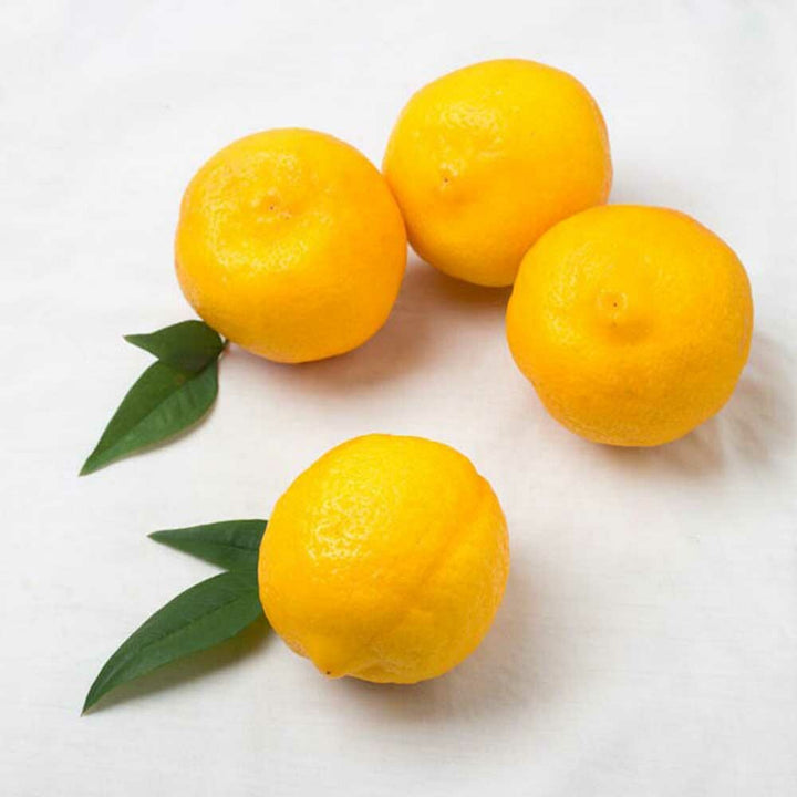 Yuzu Flavor Concentrate, Natural