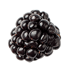 Blackberry
