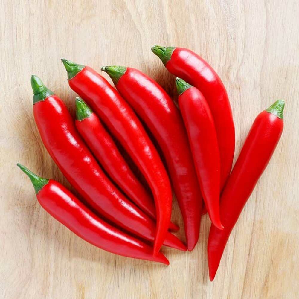 Chili Pepper