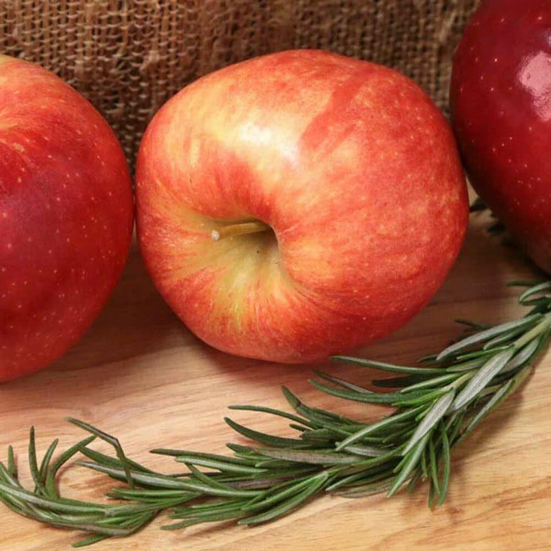 Apple Rosemary