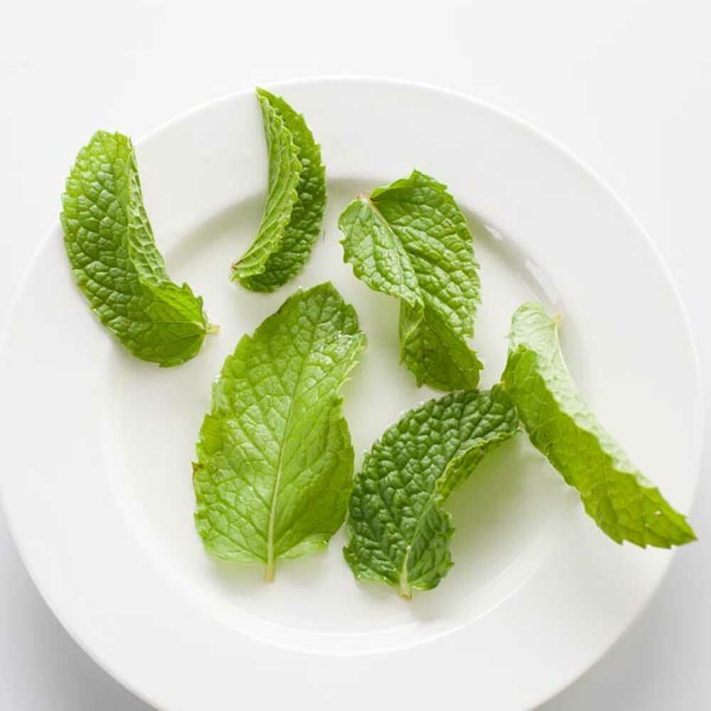 Cornmint